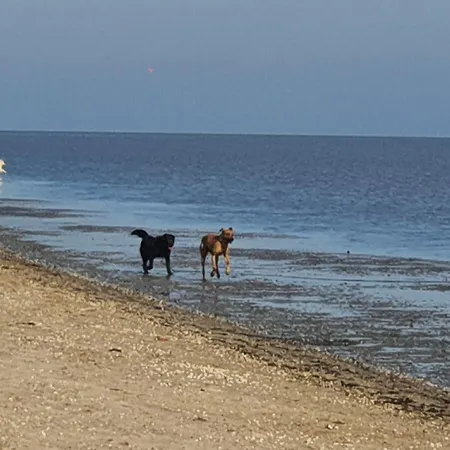 Apartment Huus An't Diek Schillig