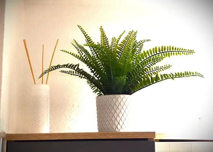 Huus An't Diek Daire Schillig